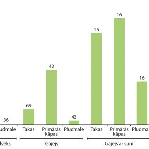 1. ATTĒLS. No ligzdas aizlidojušo putnu īpatsvars atkarībā no traucējuma veida un vietas. Katrai kombinācijai dots relatīvais daudzums ligzdu, kuras putni īslaicīgi pameta pēc traucējuma, kā arī absolūtais šādu gadījumu skaits (Gómez-Serrano, 2020). FIGURE 1. Percentage of birds that flushed when disturbed according to the location and type of beach user. For each combination, the percentage of nests in which the incubating bird flushed is shown. Sample sizes are given above each bar (Gómez-Serrano, 2020).