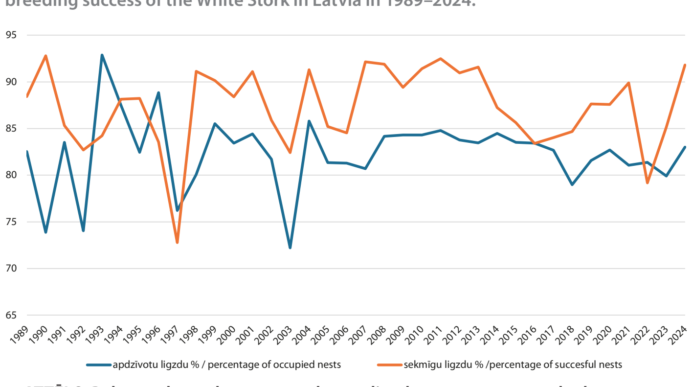 2. ATTĒLS. Baltā stārķa apdzīvotu un sekmīgu ligzdu īpatsvars parauglaukumos 1989.–2024. gadā. / FIGURE 2. Percentage of occupied and successful nests of the White Stork on control plots in 1989–2024.