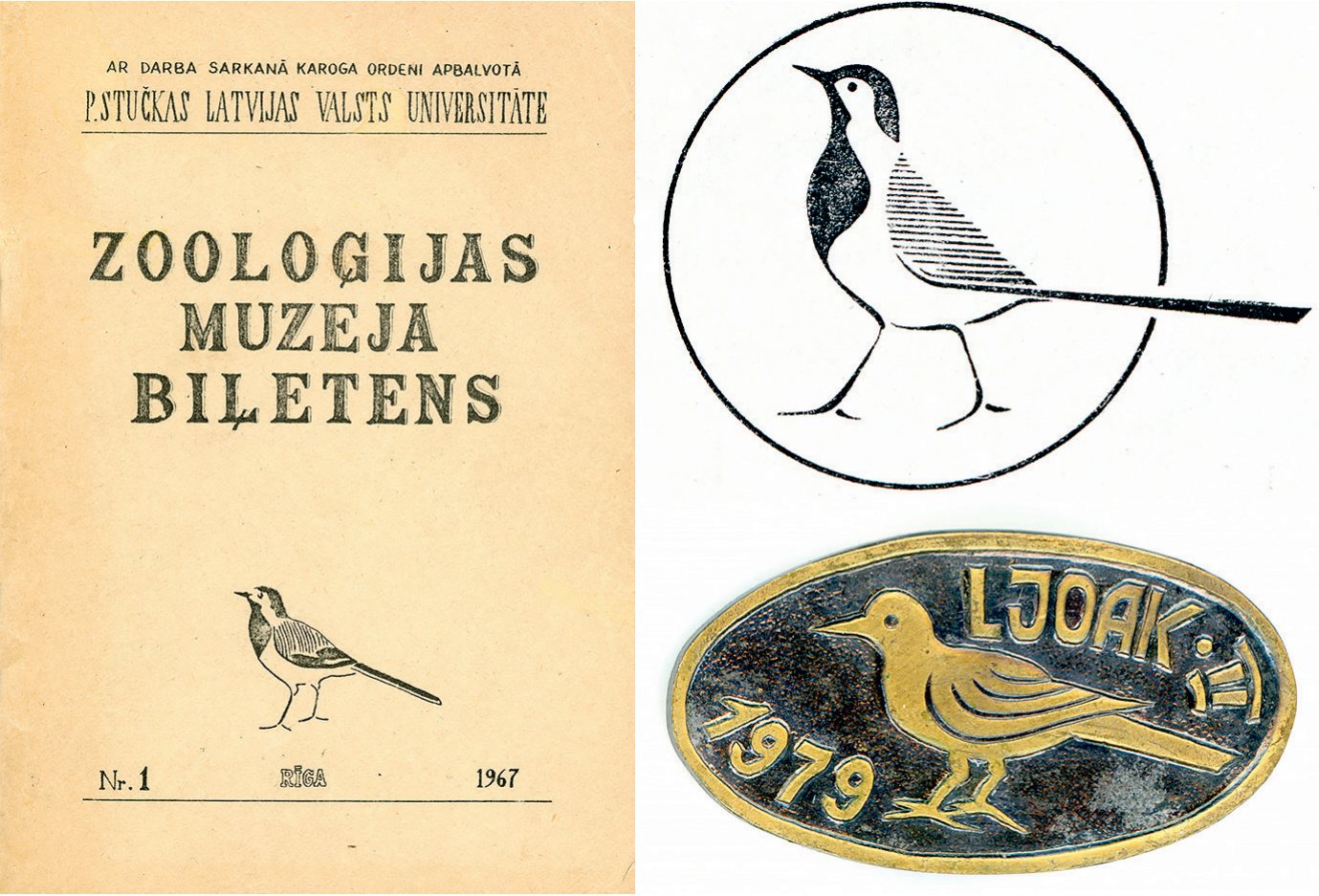 Latvijas nacionālā putna – baltās cielavas – tēla “neformālā” popularizēšana: uz Zooloģijas muzeja biļetena vāka (1967), Bioloģijas institūta Ornitoloģijas laboratorijas logotipā (Виксне 1976) un Latv