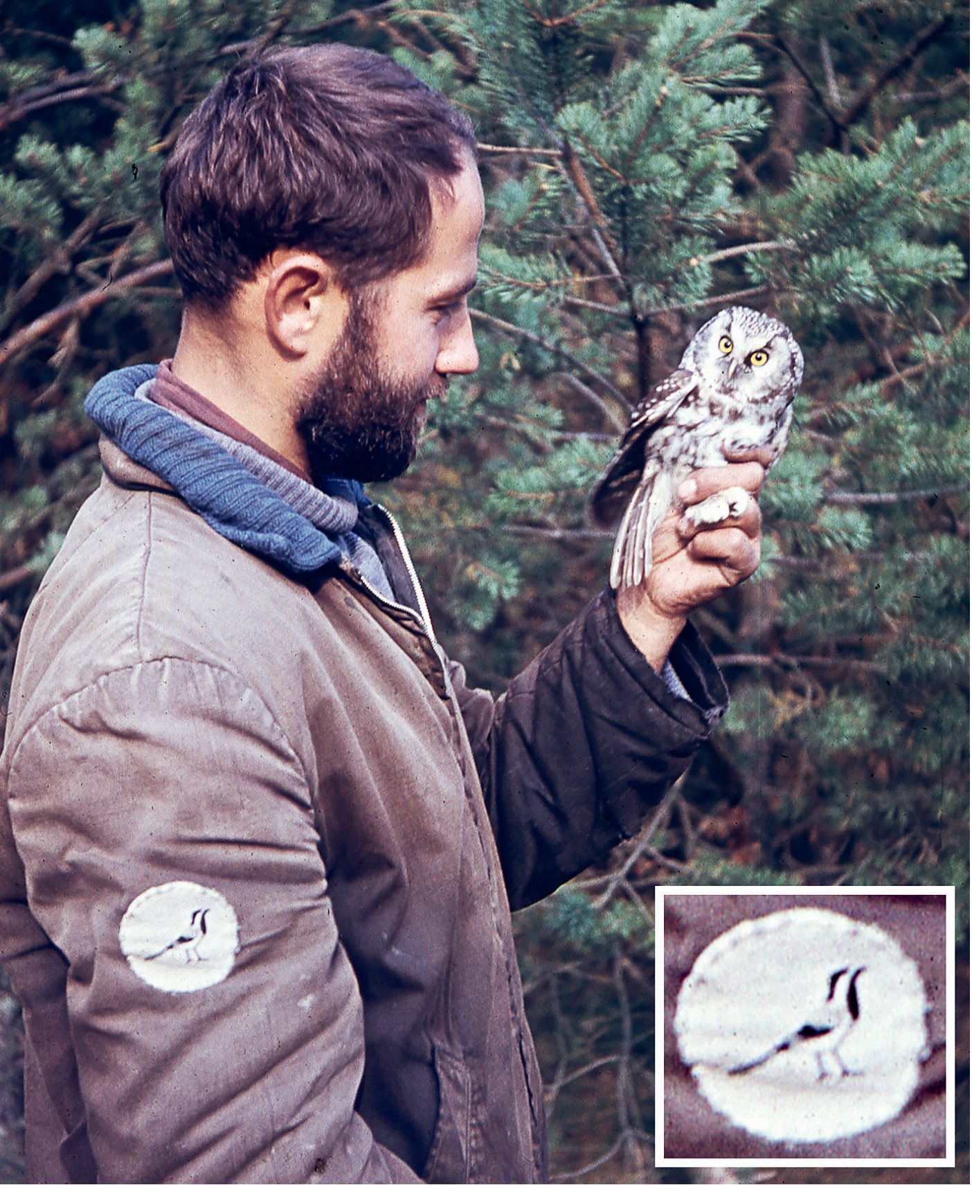 Pēteris Blūms ar noķertu bikšaino apogu Papes stacijā, 1970. gads. Uz jakas piedurknes var redzēt piešūtu Latvijas nacionālā putna – baltās cielavas – zīmējumu. (Foto: Jānis Baumanis)