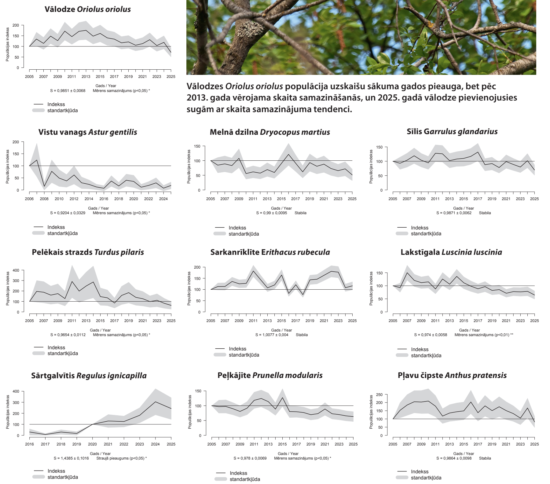 1. attēls (diagrammas). Dažu sugu populāciju indeksi 2005.–2025. gadā. / FIGURE 2. Population indices of selected species 2005–2025.